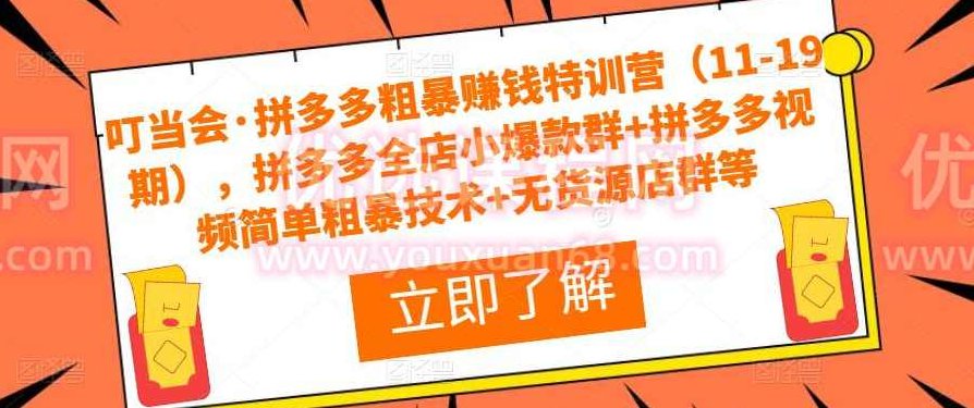 叮当会·拼多多粗暴赚钱特训营（11-19期），拼多多全店小爆款群+拼多多视频简单粗暴技术+无货源店群等,课程,视频,第1张
