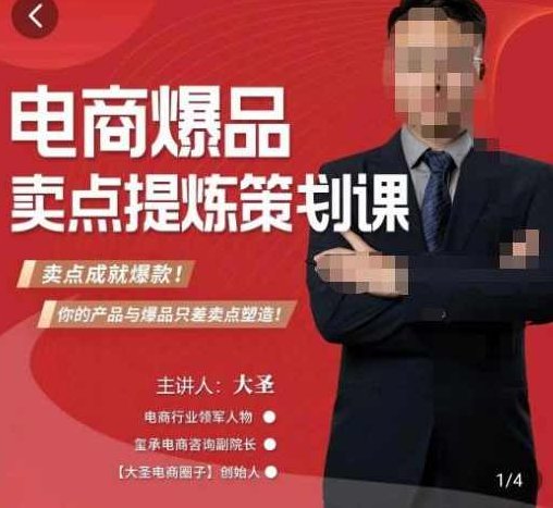 大圣·电商标品爆款卖点策划课，标品卖点成就爆款，可落地卖点提炼课,课程,掌握,应用,第1张
