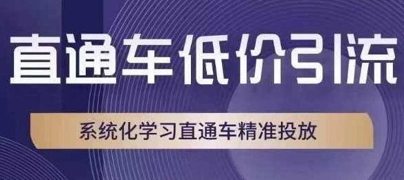 直通车低价引流课，系统化学习直通车精准投放,课程,策略,计划,第1张