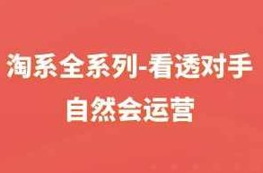 淘系全系列-看透对手，自然会运营,课程,2022,策略,第1张