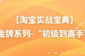 【淘宝实战宝典】金牌系列-“初级到高手”,课程,视频,基础,第1张
