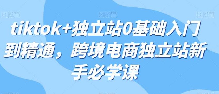 tiktok+独立站0基础入门到精通，跨境电商独立站新手必学课,课程,视频,基础,第1张