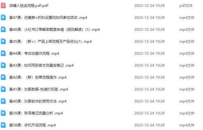 小红书电商运营从入门到精通，店铺入住全流程文档+爆款文案词，自有非凡收获,课程,视频,教程,第2张