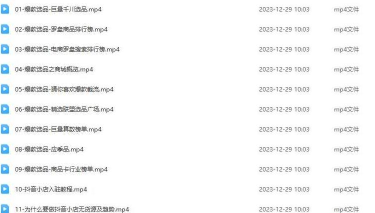 抖音小店精细化运营陪跑，提升更高利润,课程,教程,第2张