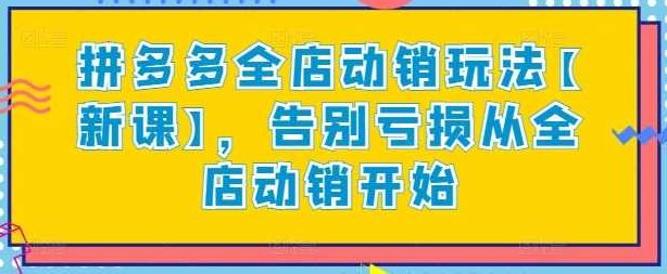老陶拼多多全店动销玩法【新课】，告别亏损从全店动销开始,课程,策略,经营策略,第1张