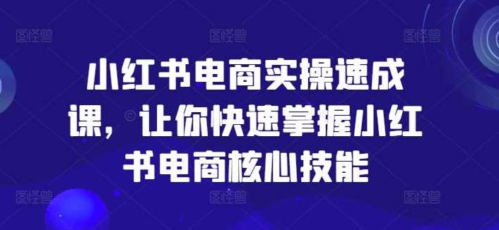 小红书电商实操速成课，让你快速掌握小红书电商核心技能,课程,视频,基础,第1张