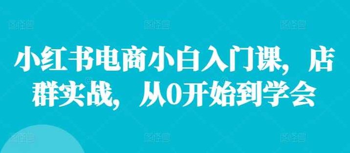 小红书电商小白入门课，店群实战，从0开始到学会,课程,抖音,制作,第1张