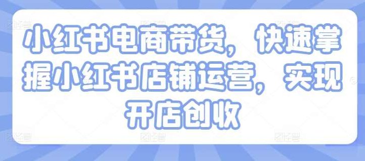 小红书电商带货,快速掌握小红书店铺运营,实现开店创收,课程,视频,教程,第1张 小红书电商带货,快速掌握小红书店铺运营,实现开店创收,课程,视频,教程,第1张