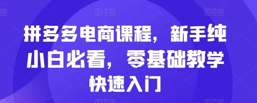 拼多多电商课程，新手纯小白必看，零基础教学快速入门,课程,视频,教程,第1张