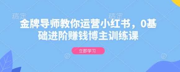 金牌导师教你运营小红书，0基础进阶赚钱博主训练课,课程,基础,赚钱,第1张