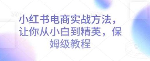 小红书电商实战方法，让你从小白到精英，保姆级教程,课程,教程,介绍,第1张