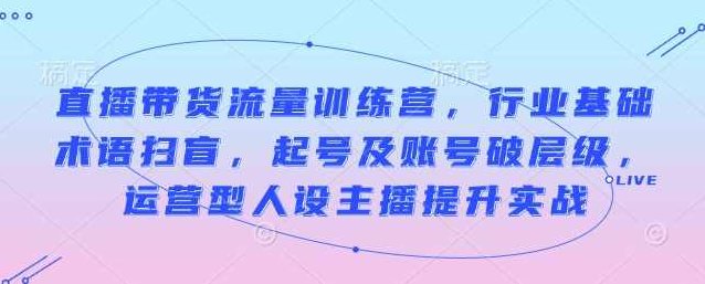 余只只直播带货流量训练营，行业基础术语扫盲，起号及账号破层级，运营型人设主播提升实战,课程,基础,训练营,第1张