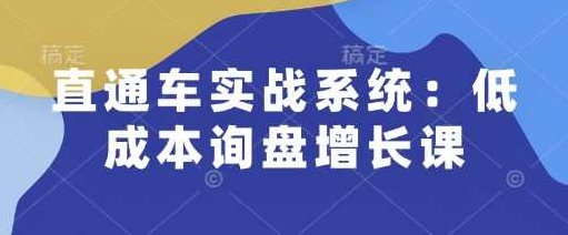 直通车实战系统：低成本询盘增长课，让个人通过技能实现升职加薪，让企业低成本获客，订单源源不断,视频,教程,掌握,第1张