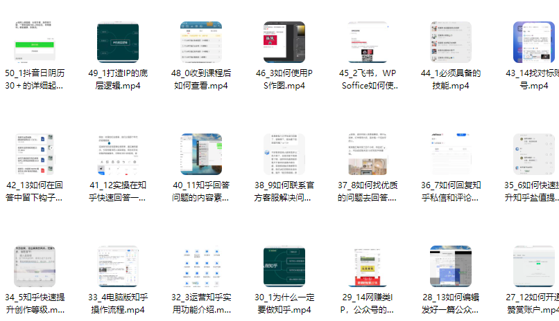 狼团联盟个人IP打造，个人IP变现全攻略：私域运营,微信技巧,公众号运营一网打尽,助力品牌推广,课程,视频,抖音,第2张