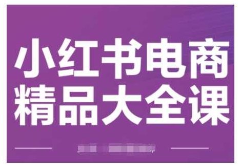 小红书电商精品大全课，快速掌握小红书运营技巧，实现精准引流与爆单目标，轻松玩转小红书电商,课程,视频,抖音,第1张