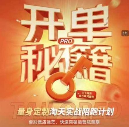 淘宝开单秘籍PRO，量身定制淘天实战陪跑计划，告别做店迷茫、快速突破运营瓶颈期,视频,基础,秘籍,第1张