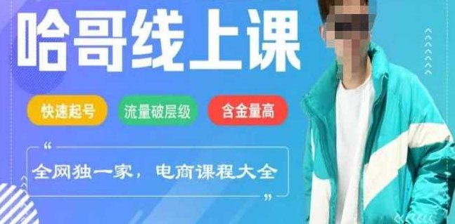 哈哥电商线上课程2025年，快速起号，流量破层级，这套方法起号率99%,课程,第1张