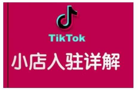 TikTok跨境小店运营全攻略，帮助你独立运营TK跨境小店的能力，实现销量增长,课程,第1张