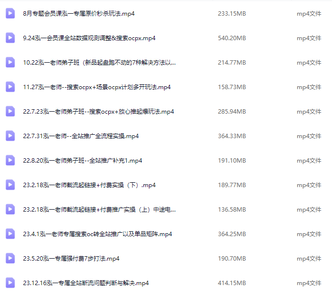 泓一弟子班拼多多实操陪跑特训营，2025年2月拼多多实操课程，海量拼多多玩法,课程,视频,第2张