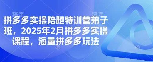 泓一弟子班拼多多实操陪跑特训营，2025年2月拼多多实操课程，海量拼多多玩法,课程,视频,第1张