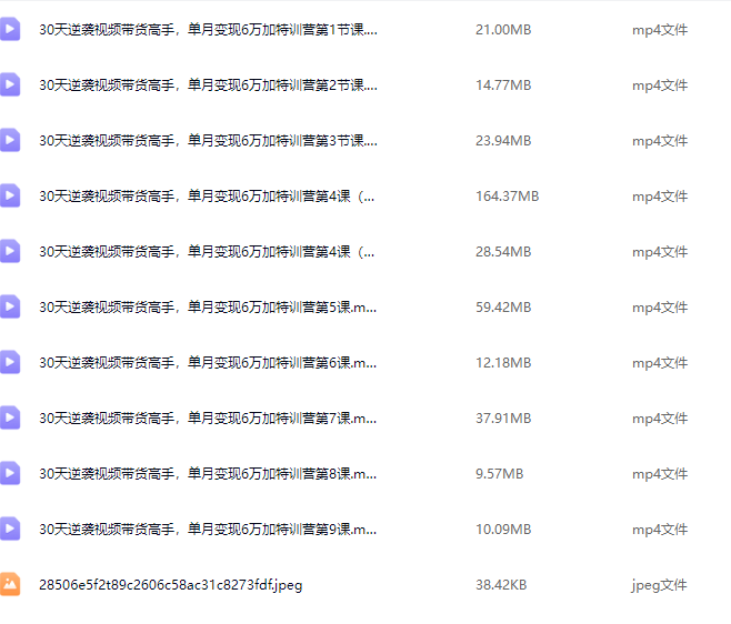 麦子甜30天逆袭视频带货高手，单月变现6W加特训营,课程,视频,基础,第2张