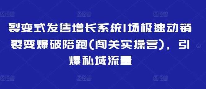 业绩裂变式发售增长系统1场极速动销裂变爆破陪跑(闯关实操营)，引爆私域流量,课程,设计,揭秘,第1张