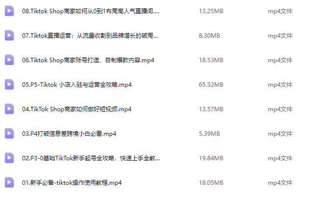 老吴TikTok跨境电商新手起号与运营全攻略，0基础做跨境电商TIKTOK新手起号，小店入驻，操作指南全流程,课程,视频,教程,第2张