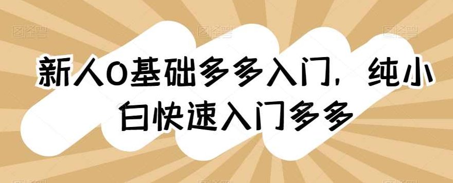 0基础拼多多入门，​纯小白快速入门多多