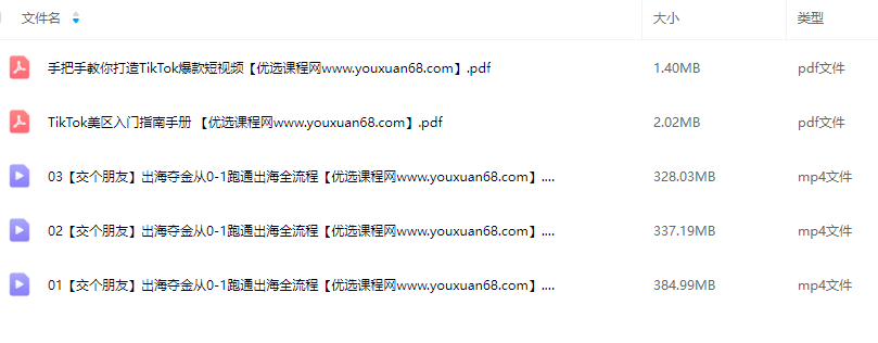【交个朋友】2025出海夺金从0-1跑通出海全流程，三节直播课从0-1跑通出海，教你用AI跑通全流程,课程,视频,基础,第2张
