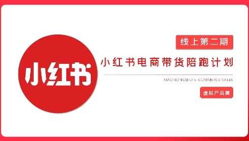 2025小红书虚拟电商实战课，从0到1打造无货源店铺，AI+爆款笔记轻松变现,课程,制作,赚钱,第1张