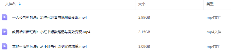 谢无敌2025小红书精准获客大会，深度拆解小红书获课AI智能体，让创作更简单,课程,培训,秘诀,第2张