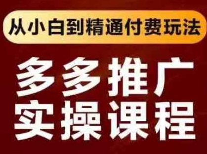 拼多多推广实操课程，从小白到精通付费玩法,课程,实操课,第1张