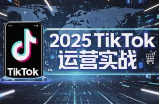 阿涛·2025TikTok电商运营，掌握TikTok店铺运营核心技巧，实现低成本高转化,课程,基础,介绍,第1张