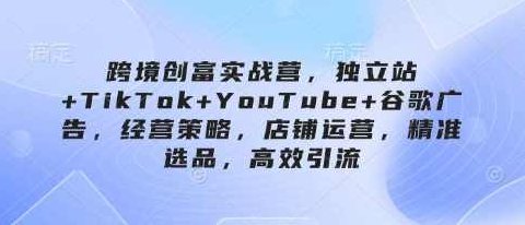 跨境创富实战营，独立站+TikTok+YouTube+谷歌广告，经营策略，店铺运营，精准选品，高效引流,课程,视频,制作,第1张