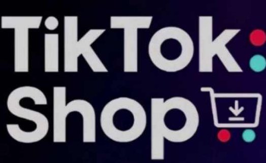 TikTokShop跨境电商0-1实战，手把手教你低成本启动海外市场,课程,基础,介绍,第1张