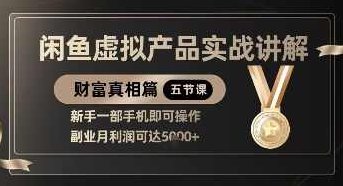 闲鱼虚拟产品实战讲解，新手一部手机即可操作，副业月利润可达5k+,资料,训练营,讲解,第1张