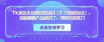 TK美区无货源店群项目【2.0整套玩法】，闭着眼睛入场就对了，挣的全是美刀,策略,无货源,行业趋势,第1张