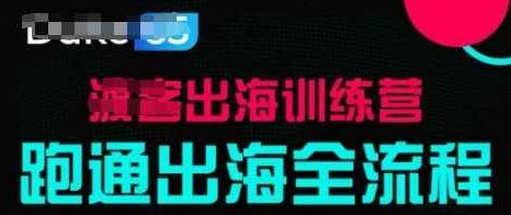 出海训练营基础课，跑通出海全流程，实战案例拆解,课程,基础,训练营,第1张