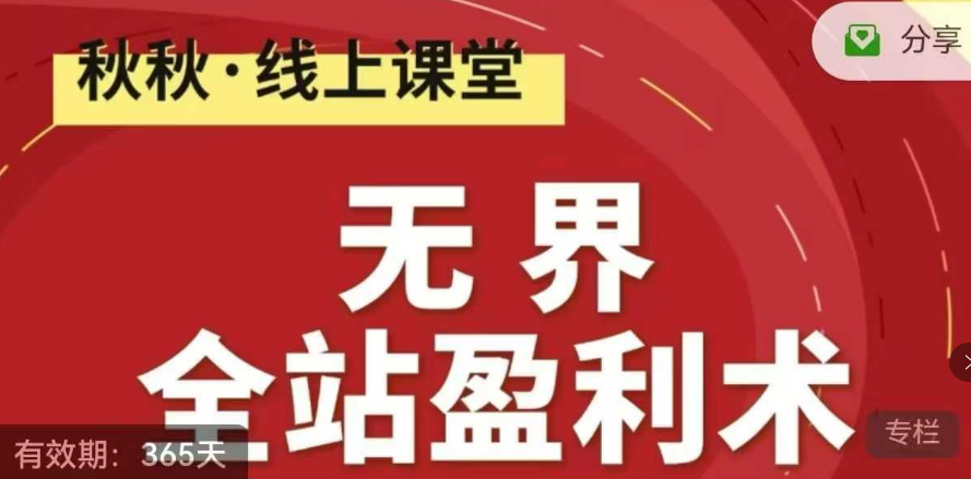 秋秋无界全站盈利术密训22.0，淘系线上精品系列
