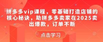 齐论拼多多vip课程，零基础打造店铺的核心秘诀，助拼多多卖家在2025卖出爆款，订单不断,课程,基础,制作,第1张