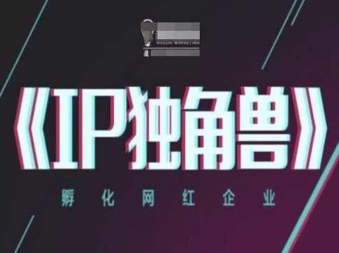 IP独角兽，孵化网红企业，ip教程,课程,视频,教程,第1张