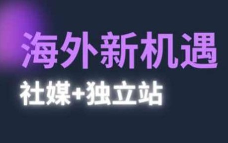 棕榈·2025出海新机遇(社媒+独立站)，海外新机遇，实现独立站的高效运营与出海,课程,视频,基础,第1张