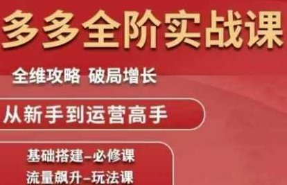 拼多多全阶实战课程，全维攻略，破局增长，从新手到运营高手,课程,视频,基础,第1张