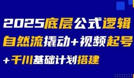 大明老师2025底层公式逻辑自然流撬动+视频起号+千川基础计划搭建，大明老师2025年底层逻辑与视频起号千川基础计划搭建,课程,视频,基础,第1张