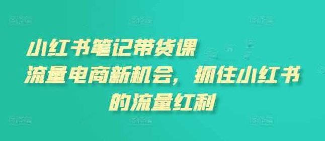 张宾小红书笔记带货课(更新25年6月)流量电商新机会，抓住小红书的流量红利，小红书流量电商新机遇，张宾笔记带你把握红利趋势,课程,视频,教程,第1张