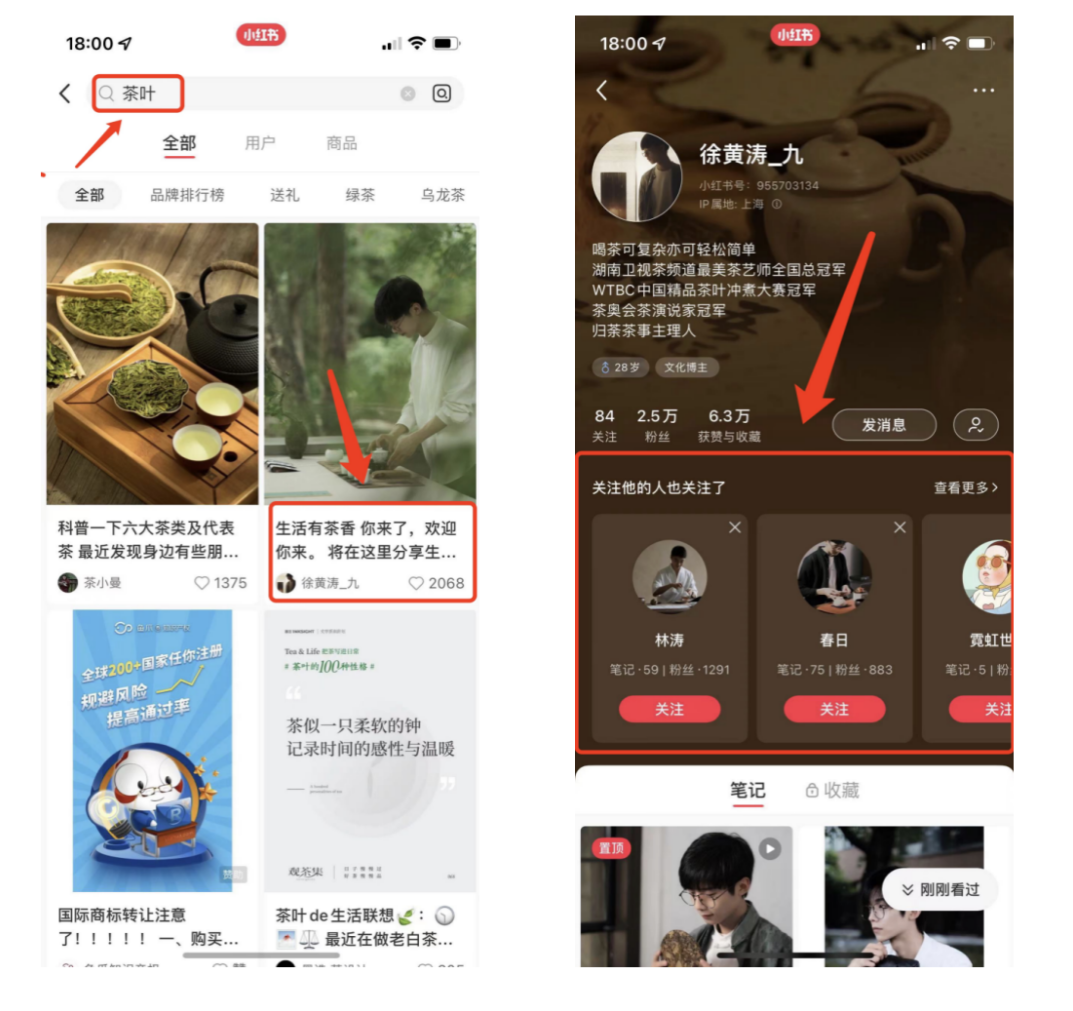 小红书运营设计博主独立变现，实现线上月入过W，零基础也能玩转小红书，小红书运营博主新势力，零基础月入过万，变现无忧,课程,教程,第1张