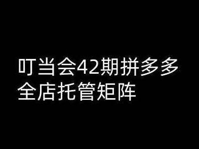 叮当会拼多多打爆班原创高阶技术第45期，拼多多高价女装项目，拼多多女装爆款打造技术高阶班，叮当技术第45期，高价女装项目火热进行中