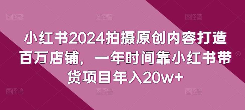 一年时间靠小红书带货项目年入20w+，最不能错的大红利项目，小红书带货年入20w+红利项目,课程,视频,制作,第1张