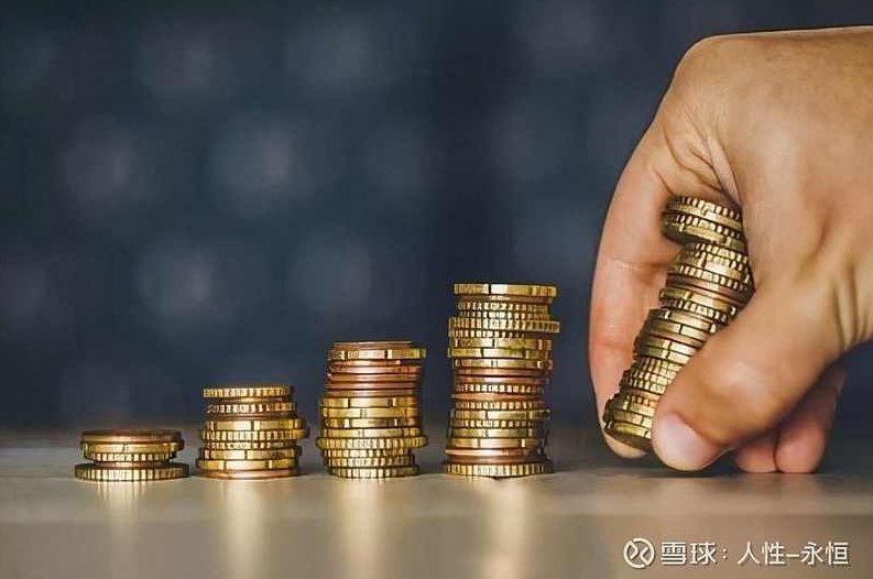 老廖的投资哲学2024.10-2025.04实战训练营，投资实战训练营，老廖2024-2025实战训练营展望,课程,训练营,第1张