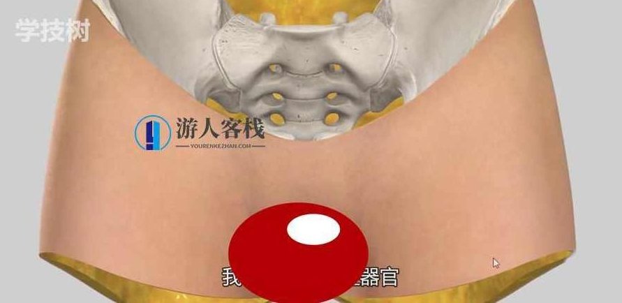 比女人还懂女人：女性生殖系统解析（视频）女性生殖系统解析，比女人还懂女性,视频,客栈掌柜,第1张